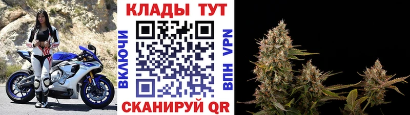 Цена Высоцк A PVP  Галлюциногенные грибы  Амфетамин  ГАШ  Меф 