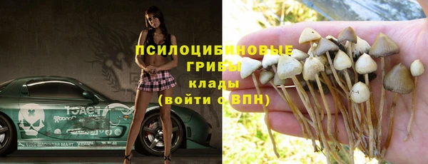 прущий лед Верея