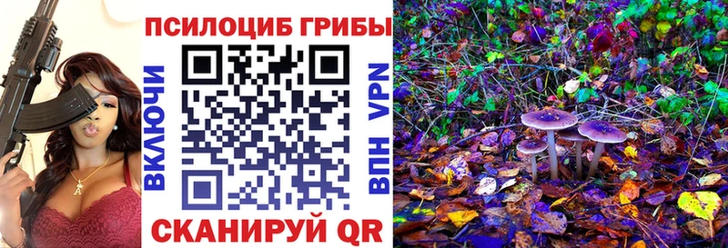KRAKEN ССЫЛКА  купить наркоту  Высоцк  Псилоцибиновые грибы ЛСД 